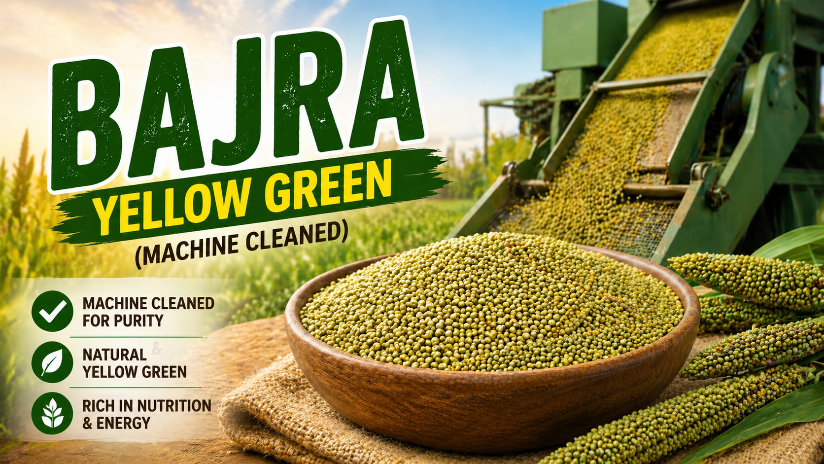 Bajra Yellow Green Machine Cleaned